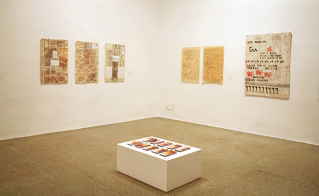 Regina Costa - My old skin is the message (Correspondence series), 2009