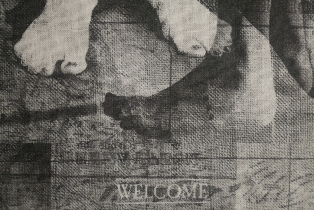 Regina Costa: FRONTIERS - Welcome /Not welcome (detail)
