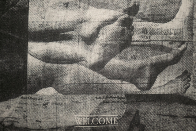 Regina Costa: FRONTIERS - Welcome /Not welcome (detail)